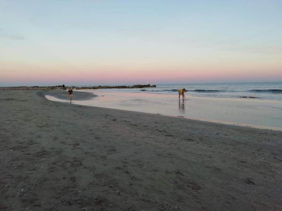 Appart 5P Terrasse Sud Vue Mer, Acces Direct Plage Frontignan Kültér fotó