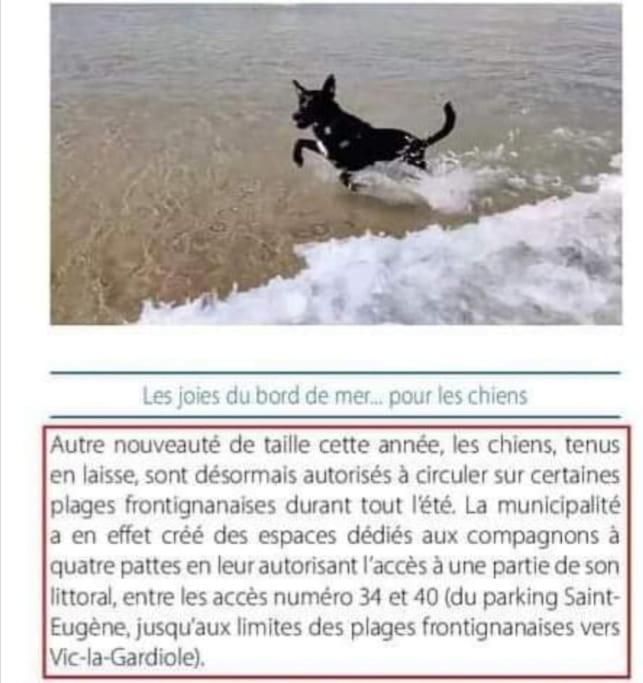 Appart 5P Terrasse Sud Vue Mer, Acces Direct Plage Frontignan Kültér fotó